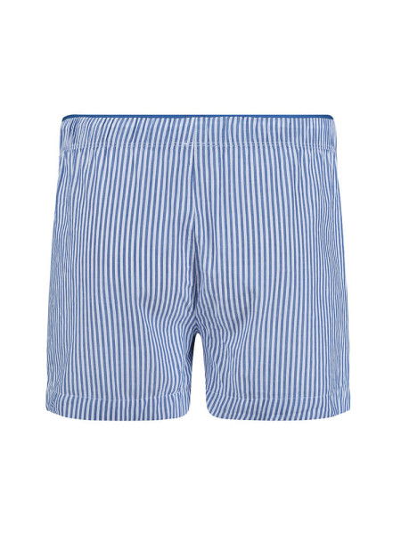 SKINY Regular Fit Bleu clair Webware