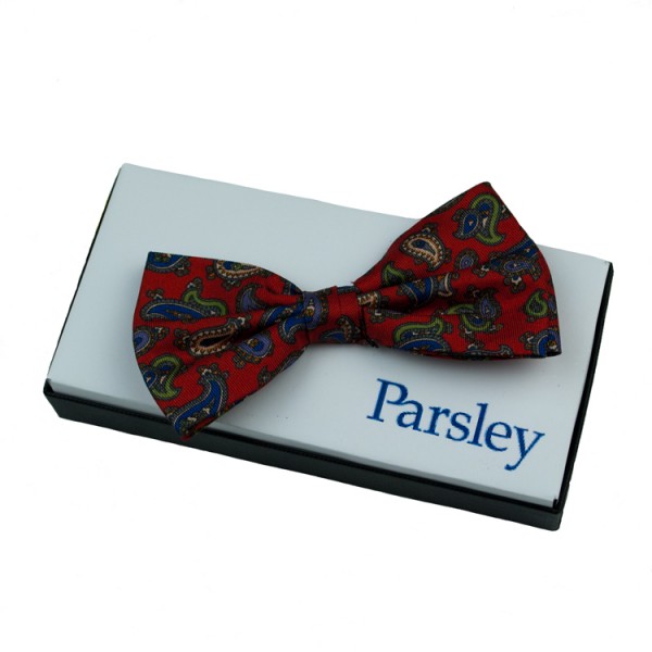 Nœud papillon Parsley rouge à motifs